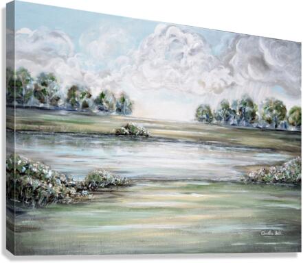 The Storm Has Past Canvas Print