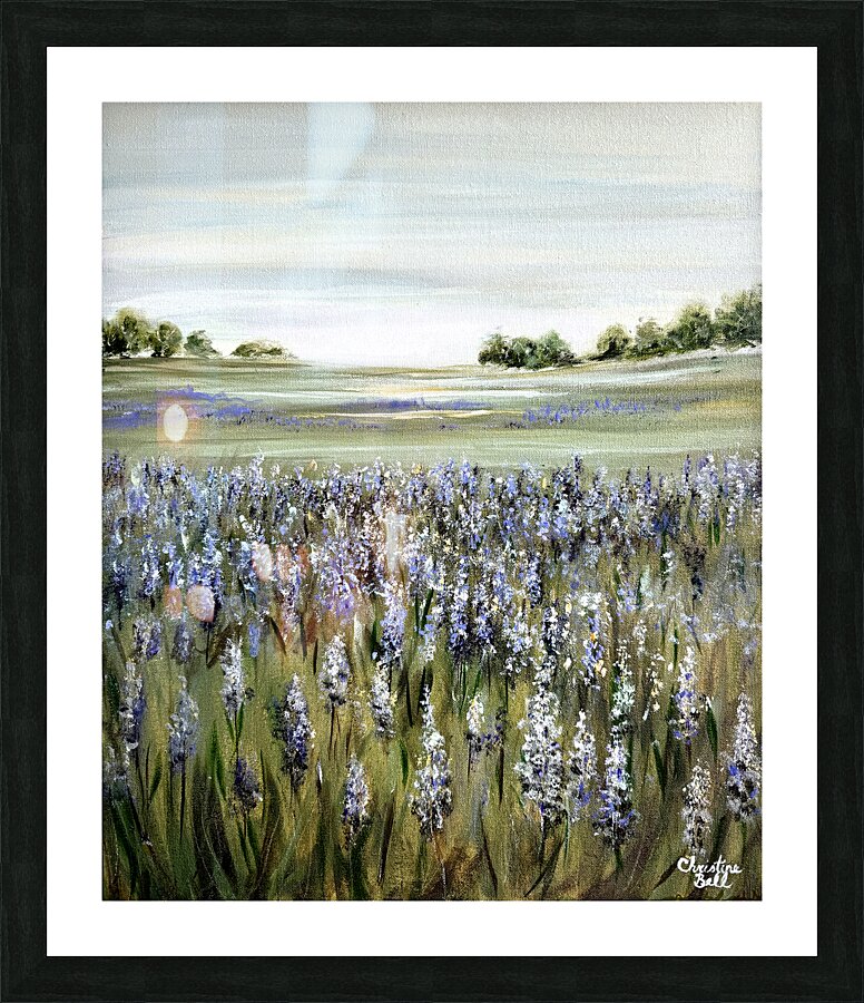 Lupine Meadow Picture Frame print