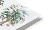 Palm Beach HD Metal print