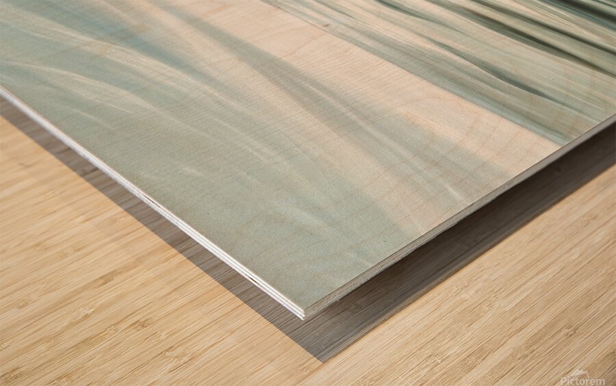 Pristine Waters Wood print