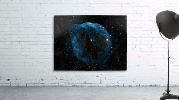 Dolphin Head Nebula Wall Preview