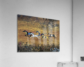Carousel War Horses Acrylic Print