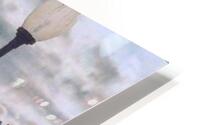 heaven sent HD Metal print