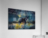 Watching Hyena Acrylic Print