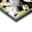 Panda family  Acrylic print