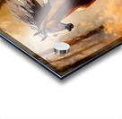 Arabian horse Acrylic print