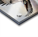 Raptor in motion Acrylic print
