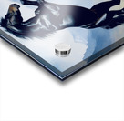 Wild stallion  Acrylic print