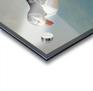 A cute Puffin Acrylic print
