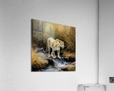 Thirsty Leopard Acrylic Print
