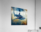 Sedately swimming Acrylic Print
