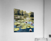 Idyllic Lilly pond Acrylic Print
