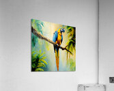 Colourful Macaw Acrylic Print