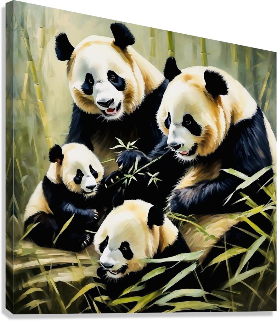 Panda family  Canvas Print