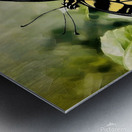 Eastern Tiger Swallowtail Metal print