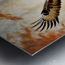 Red tailed hawk swooping towards prey Metal print