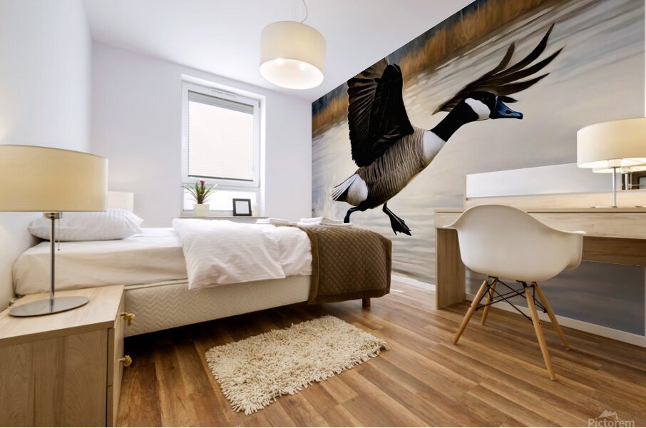 Canada Goose Mural print