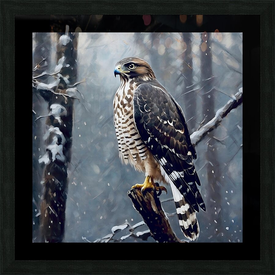 Broad winged hawk Picture Frame print