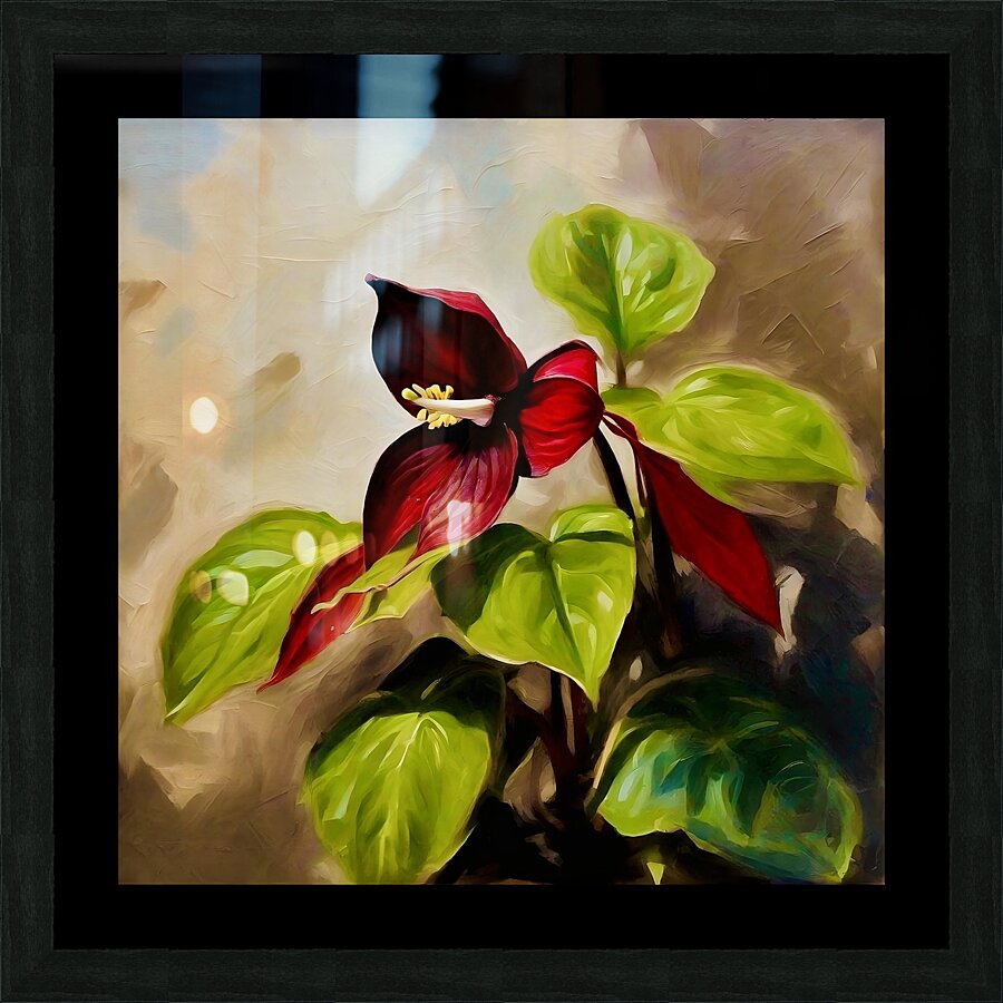 Red Trillium Picture Frame print