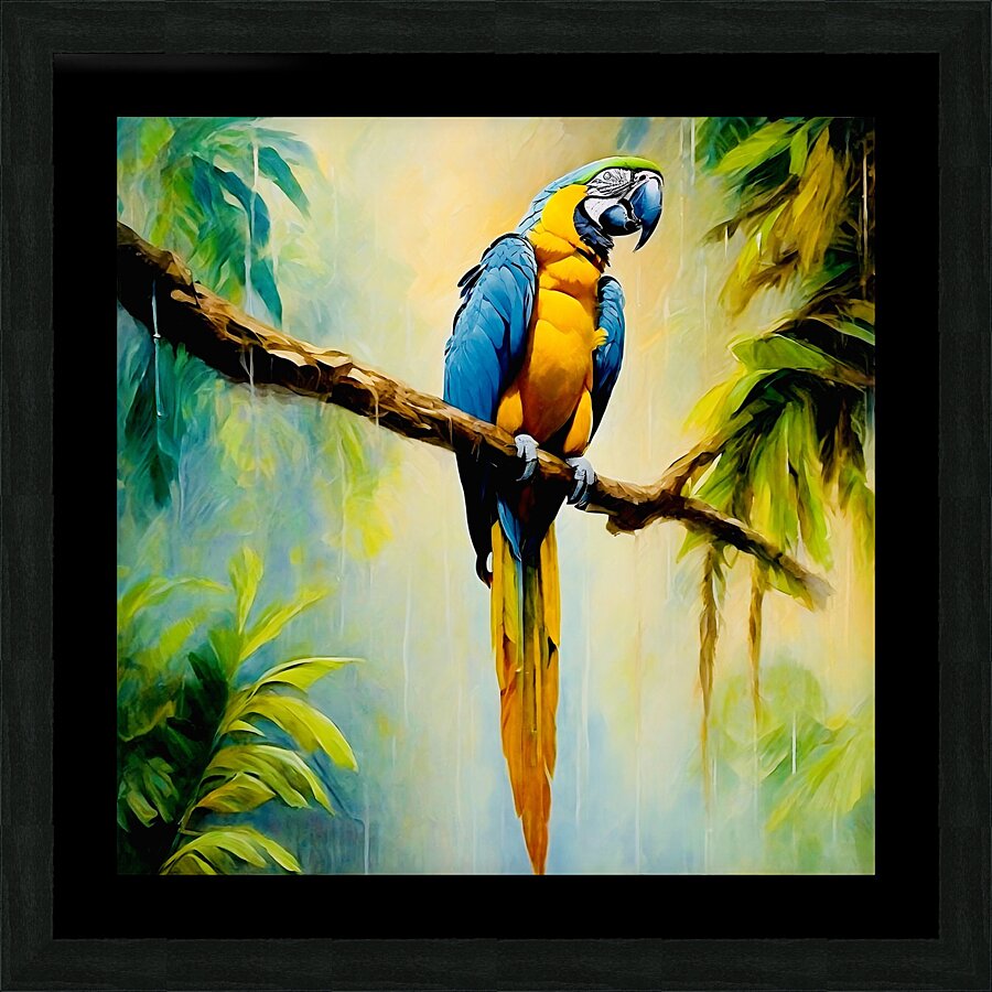 Colourful Macaw Picture Frame print