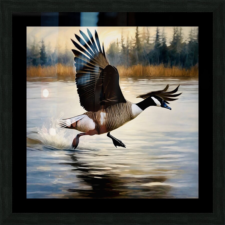 Canada Goose Picture Frame print