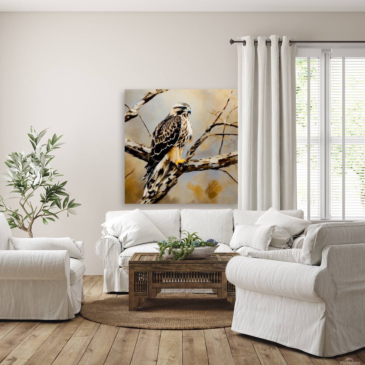 Rough legged hawk Reproduction