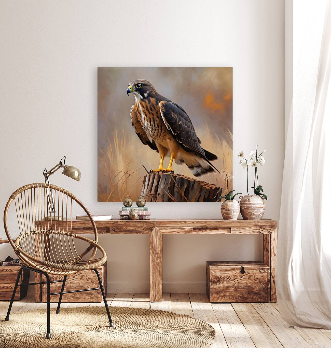 Northern Harrier Reproduction