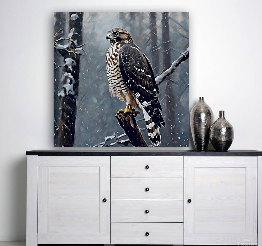 Broad winged hawk Reproduction