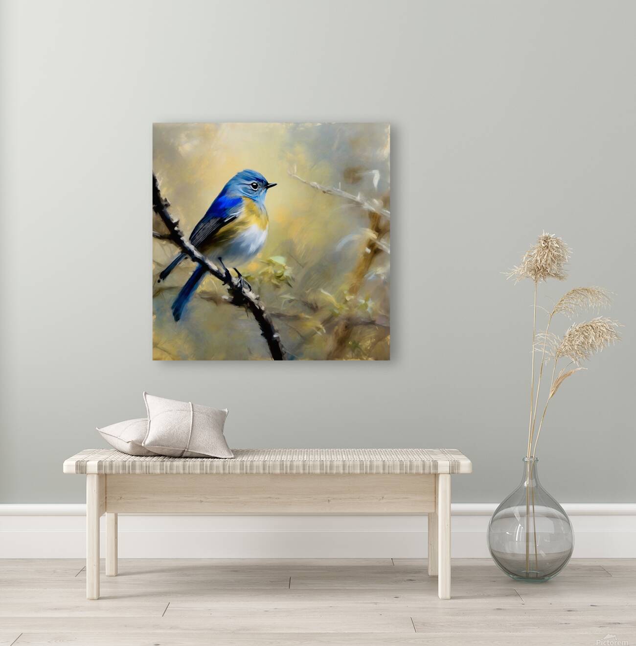 Red flanked blue tail Reproduction