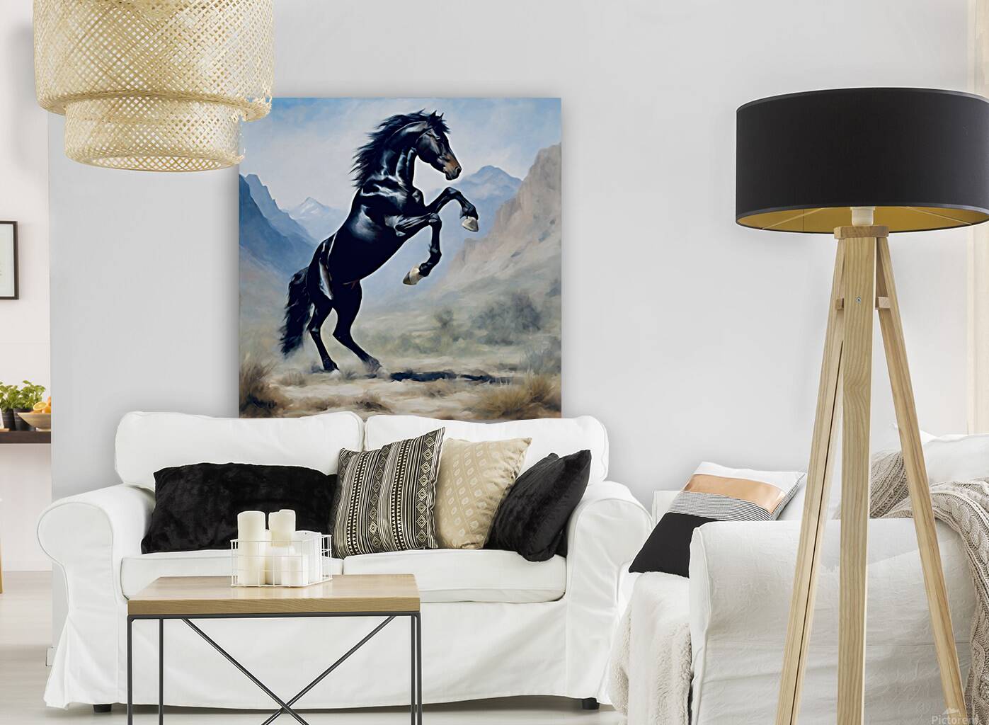 Wild stallion  Reproduction