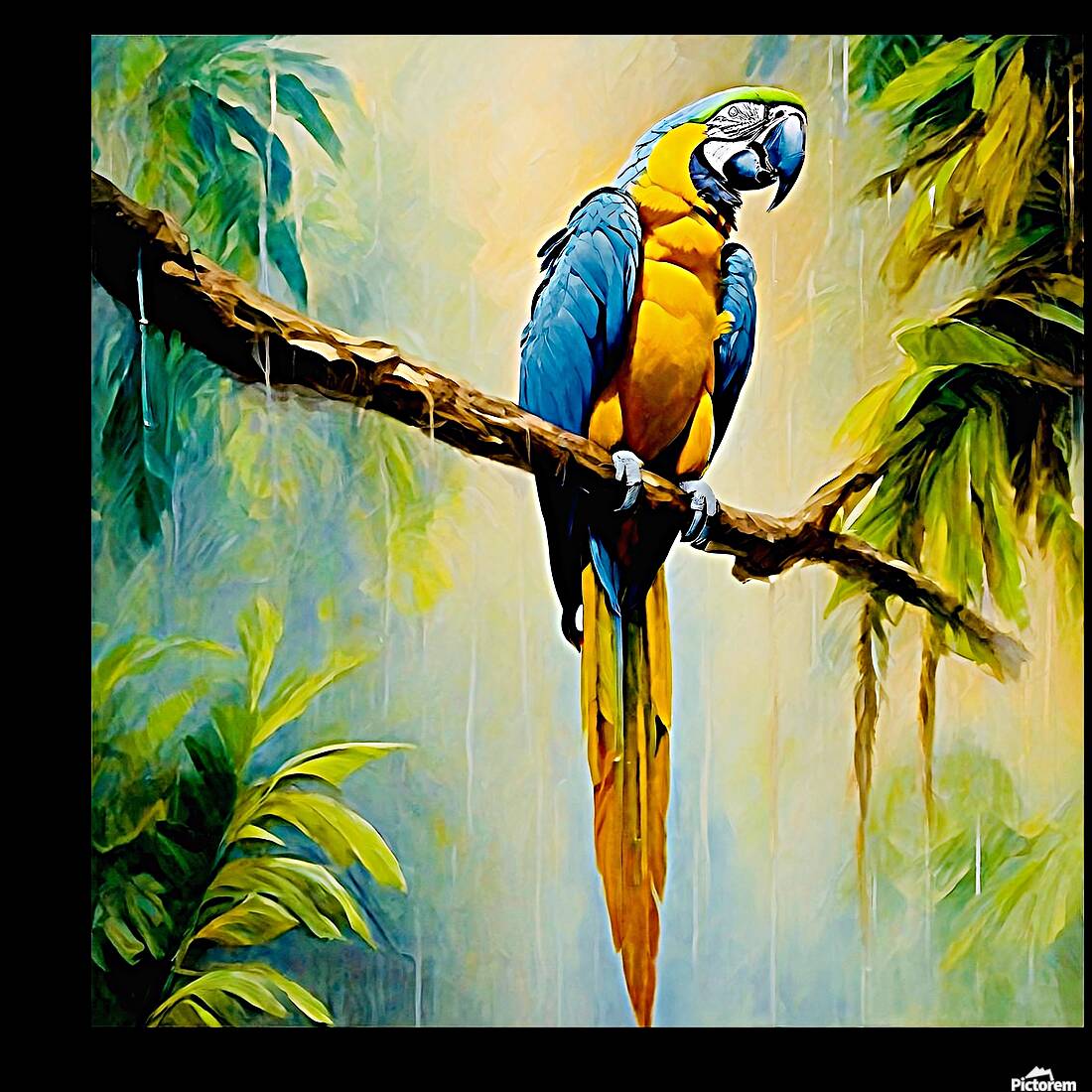 Colourful Macaw Reproduction