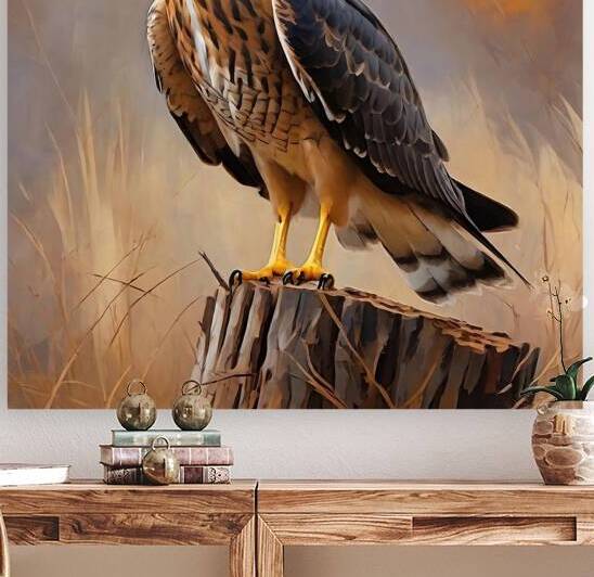 Northern Harrier by Island Art Studio