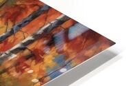 Autumn reflections  HD Metal print