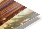 Forest giants HD Metal print
