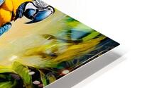 Colourful Macaw HD Metal print