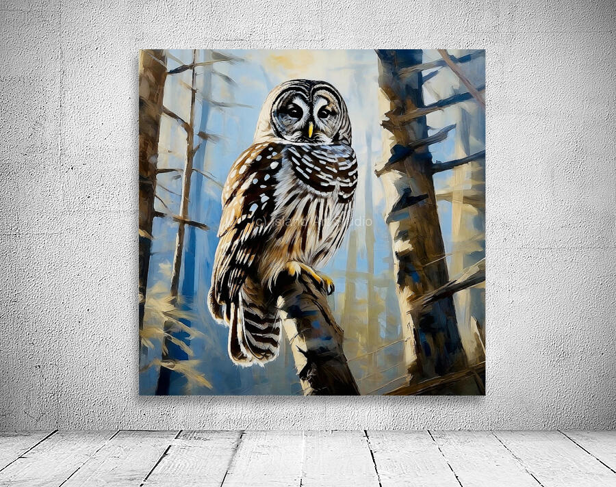 Barred owl Wall Preview