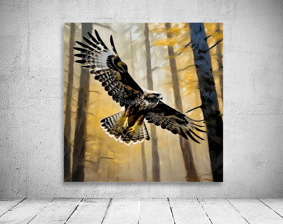 Sharp Shinned Hawk Wall Preview