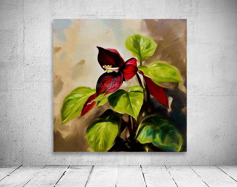 Red Trillium Wall Preview