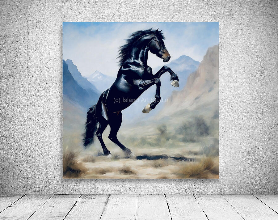 Wild stallion  Wall Preview