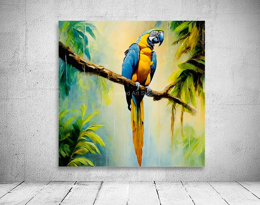 Colourful Macaw Wall Preview