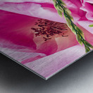 Abundant flowers Metal print