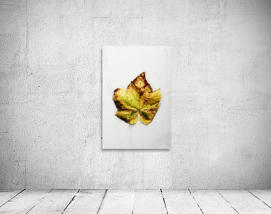 Yellow autumn leaf Wall Preview