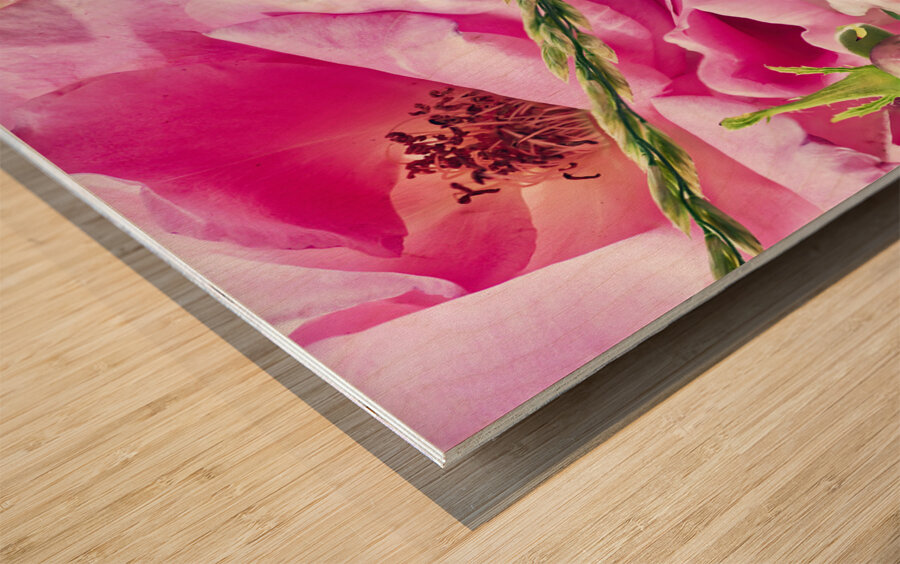 Abundant flowers Wood print