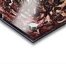 002 Acrylic print