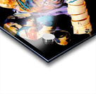 006 Acrylic print