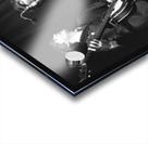 364 Acrylic print