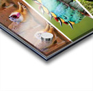 368 Acrylic print
