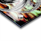 415 Acrylic print