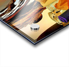 464 Acrylic print