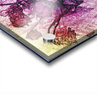602 Acrylic print